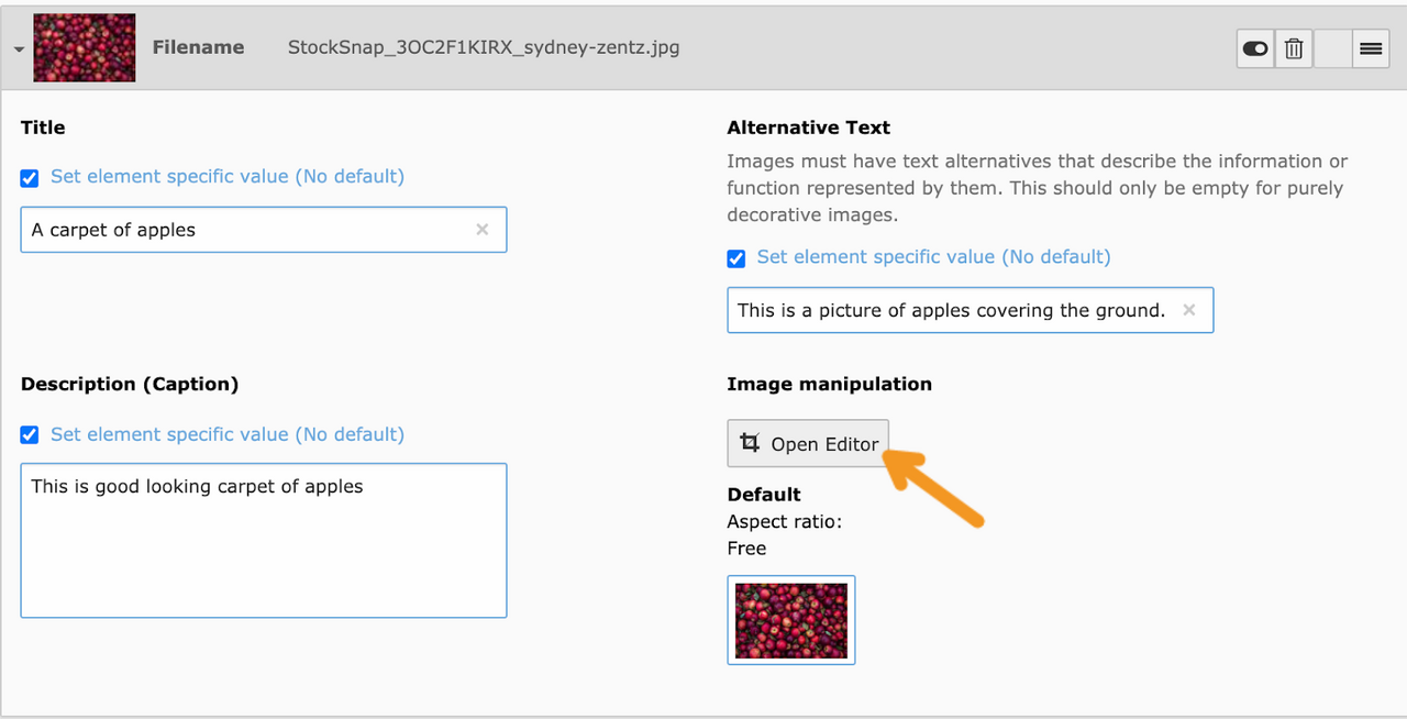 Screenshot of Image Metadata, pointing to image editor editor