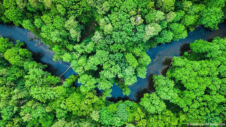 Environmental protection with TYPO3