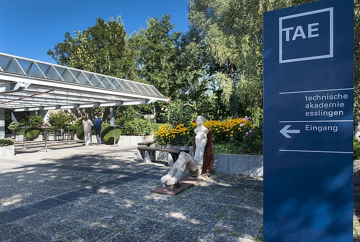 From v12 to v14 in One Year: What the Upgrade Opened Up for TAE