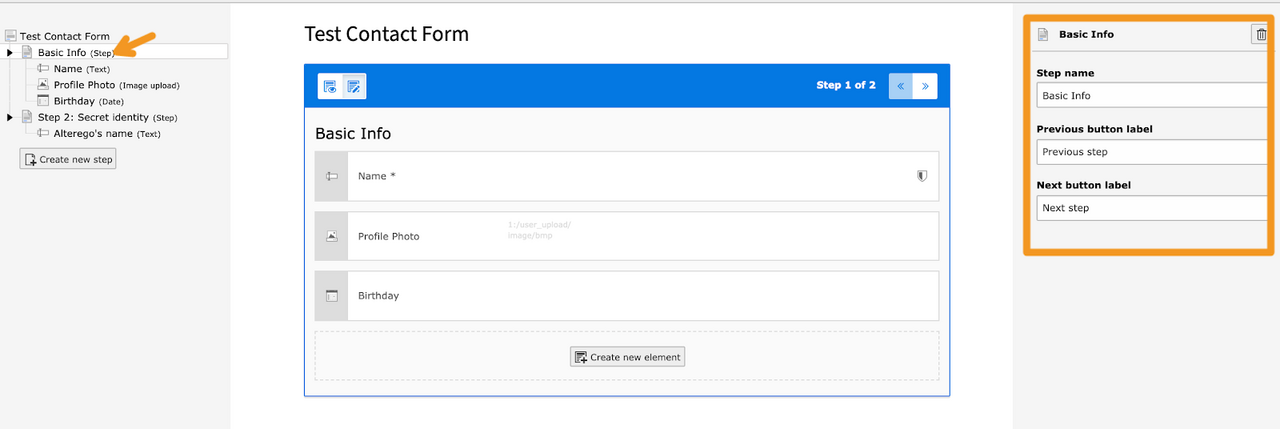 Screenshot of the step-level editor of the form