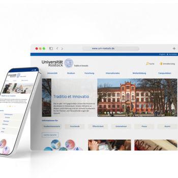 Multiportal Universities