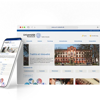 Multiportal Universities